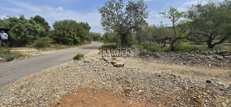 Foto ddc0c300-03e1-46b4-9242-2bed7c2aa0b7. Finca rústica a Cervera del Maestre