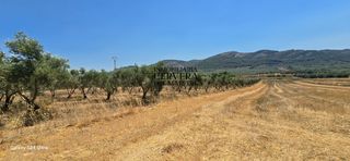 Fondo rustico in Sant Mateu. Finca rustica de 10.222 m2 para edificar pozo propio con agua po