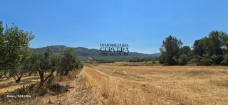 Fondo rustico in Sant Mateu. Finca rustica de 10.222 m2 para edificar pozo propio con agua po