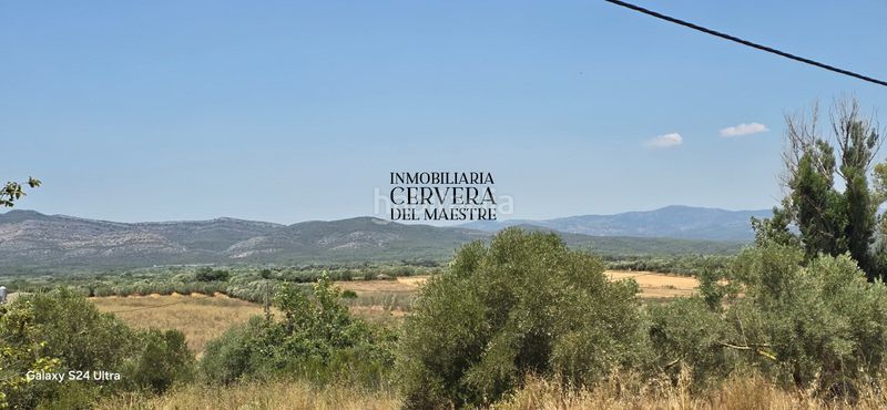 Foto 7f998908-0cb6-4785-8a6e-ce775ca27107. Finca rústica a Sant Mateu