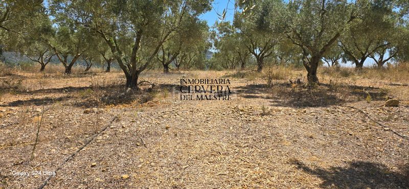 Foto bad63c58-4411-4c39-a6fa-3e7b5e717573. Finca rústica a Sant Mateu