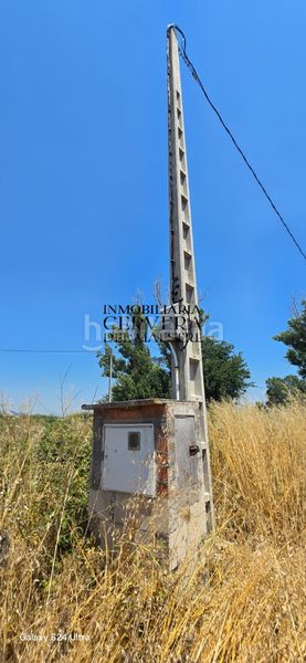 Foto caa22db8-1ded-47c1-b3d1-bf3d009dfdf0. Finca rústica a Sant Mateu