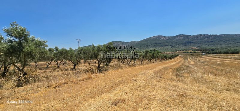 Foto d21334b7-8e39-430b-9b55-abd28c431339. Finca rústica a Sant Mateu