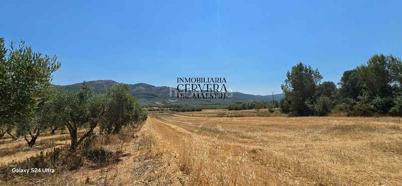 Foto eef3300b-a86c-4488-9d41-2889ac102cdc. Finca rústica a Sant Mateu