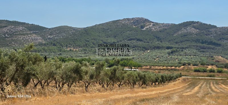 Foto f1cb8f72-2999-456d-b94e-f0fd19e4bc3d. Finca rústica a Sant Mateu