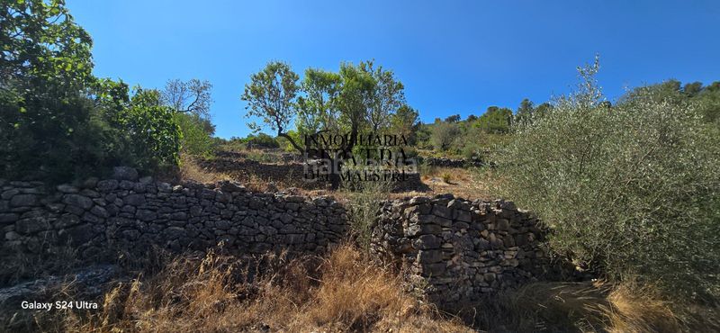 Foto 30f6cdd3-1ad1-4d20-b0fe-2603fb624df0. Masia a Vall d´Alba