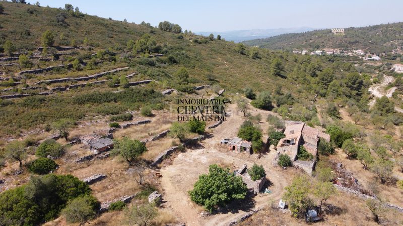 Foto 3356bd3e-9f9d-41db-81d7-cc1a44c0fd72. Masia a Vall d´Alba