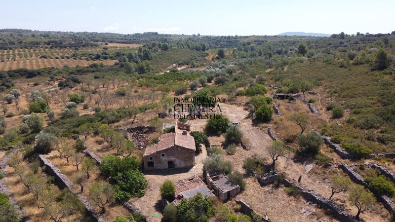 Foto 720c9376-0712-4387-843c-91c09aa25303. Masia a Vall d´Alba