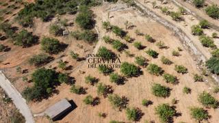 Propriété à Cervera del Maestre