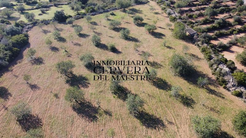 Foto 13e60fbb-3f98-455d-8b47-a2883ee27789. Fondo rustico in Cervera del Maestre