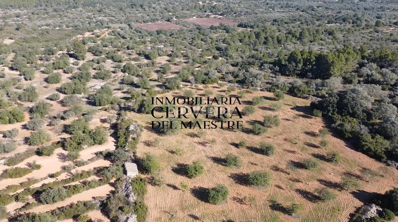 Foto 4f4c14bb-626b-4cc1-b039-a7990da41788. Fondo rustico in Cervera del Maestre