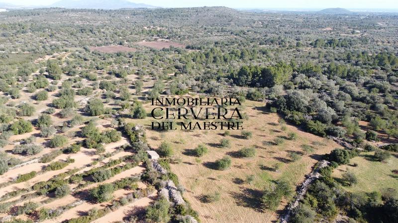 Foto 4fe88921-7675-4183-85d6-03f60a02037f. Fondo rustico in Cervera del Maestre