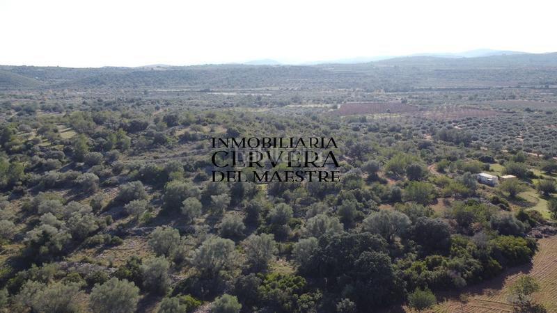 Foto 5f152b7b-1998-4fe5-b171-120815b66ed6. Fondo rustico in Cervera del Maestre