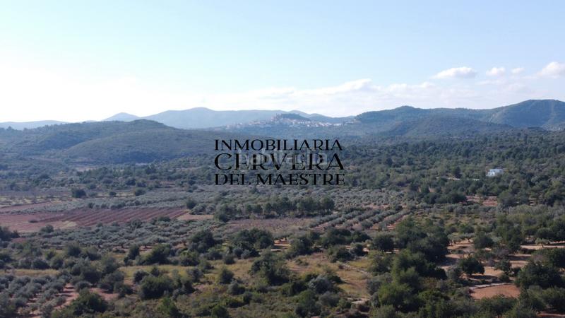 Foto 606a36db-efb8-4866-89fb-65858ebb529e. Fondo rustico in Cervera del Maestre