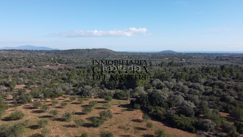 Foto 6f7cfd38-80bd-4e0c-bd38-bb306ed2bfc2. Fondo rustico in Cervera del Maestre