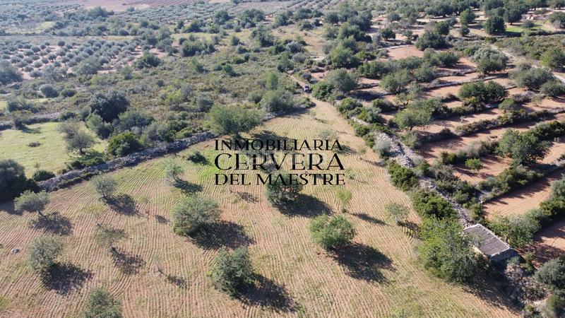 Foto 87f4c8e8-d30c-4ae6-8561-2cf57924083b. Fondo rustico in Cervera del Maestre