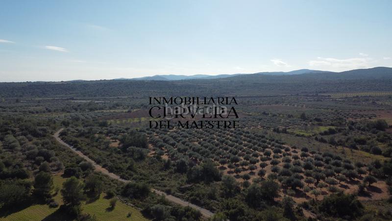 Foto 8e6f84df-5ecf-4e48-8f2e-fa1b3db54a8f. Fondo rustico in Cervera del Maestre