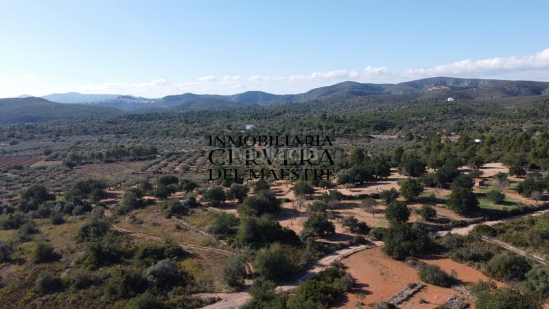 Foto 8f5e184e-05c9-4070-babd-c6977e9b414e. Fondo rustico in Cervera del Maestre