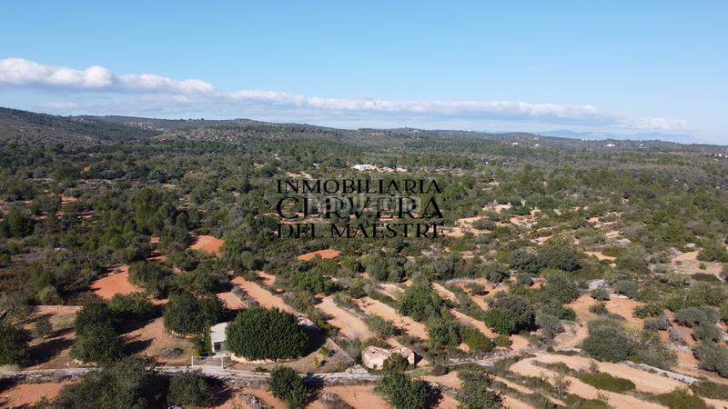 Foto 907efe36-46ce-4985-8bed-e964b326eae8. Fondo rustico in Cervera del Maestre