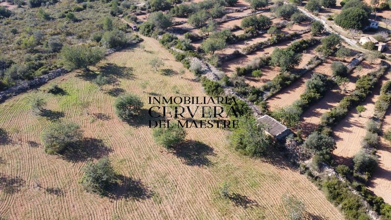 Foto 988ccd5d-21f8-48ee-a485-83480928a4d7. Fondo rustico in Cervera del Maestre