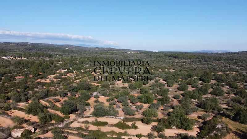 Foto 9dbe21de-04eb-47ed-87c1-54c415657c73. Fondo rustico in Cervera del Maestre