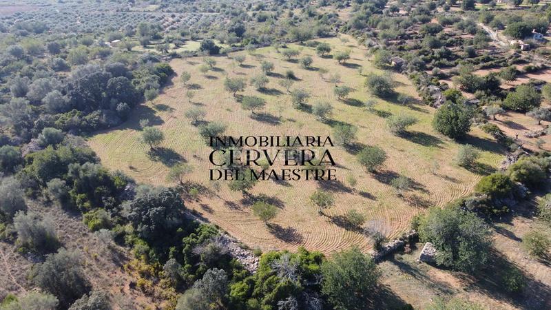 Foto cc9b4ac1-6559-4932-bfb8-b1f147cb967e. Fondo rustico in Cervera del Maestre