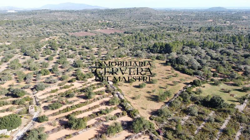 Foto d1be80aa-d859-453e-a572-38ac8b0b38d3. Fondo rustico in Cervera del Maestre