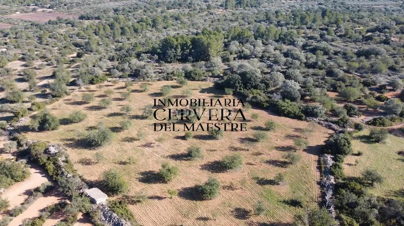 Foto d4475f28-e920-4694-a153-930b900615fa. Fondo rustico in Cervera del Maestre