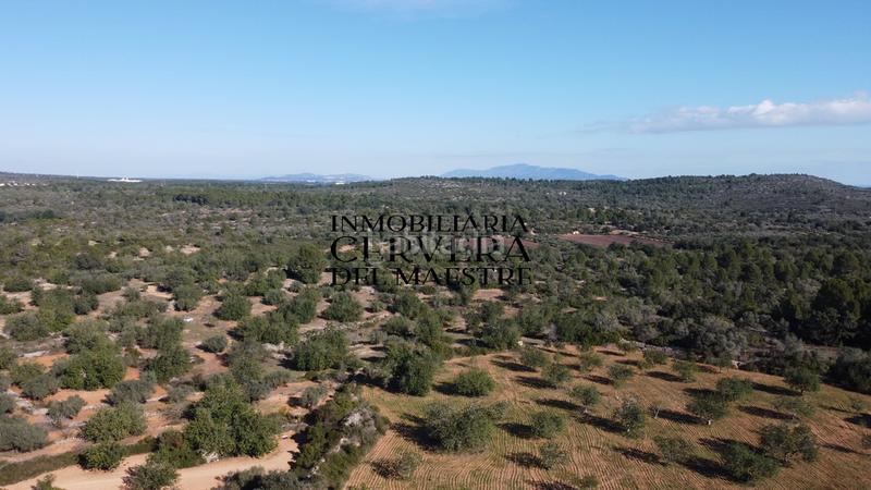 Foto e4d921ed-5aad-4fe1-8e66-c0493464aab8. Fondo rustico in Cervera del Maestre