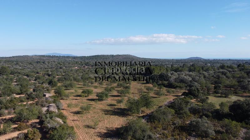 Foto e875b581-703e-4625-845b-4c4f687e87c0. Fondo rustico in Cervera del Maestre