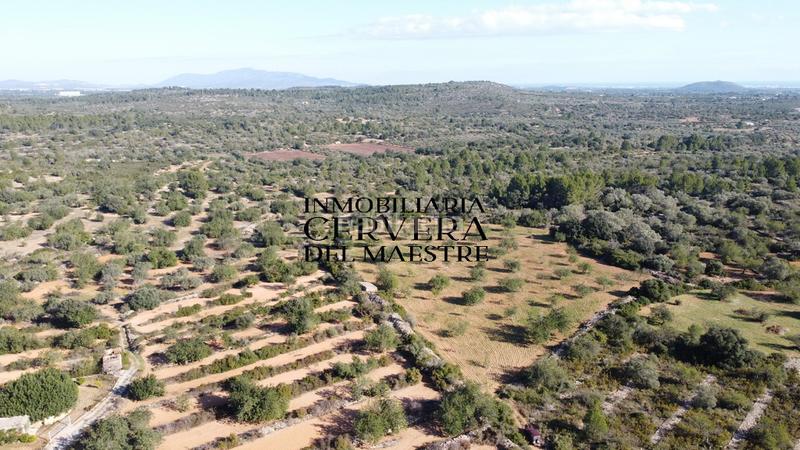 Foto ee085105-7b88-4438-a5b0-63e3d8349326. Fondo rustico in Cervera del Maestre