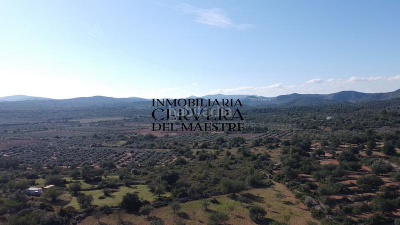 Foto f96e7c24-a0fe-41ab-9e1b-5f1ab625e9c7. Fondo rustico in Cervera del Maestre