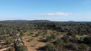 Propriété à Cervera del Maestre