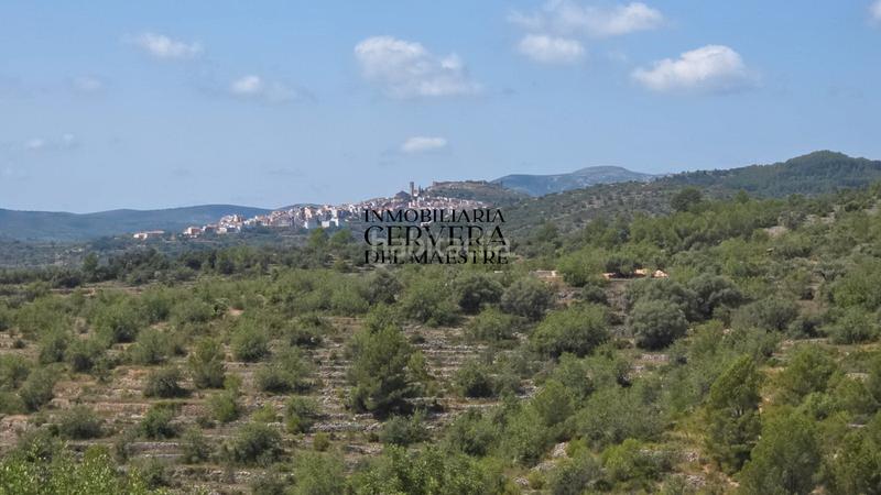 Foto 004c1fca-f223-486b-bd5e-117c80ce8907. Landgut in Cervera del Maestre