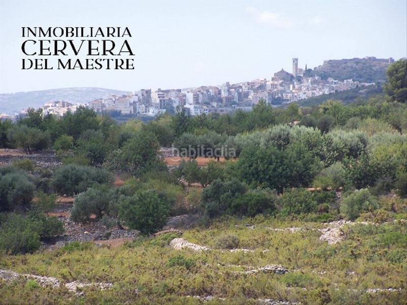 Foto 2496a178-8a0d-4e9a-aaf2-3f5c36eca1ea. Landgut in Cervera del Maestre