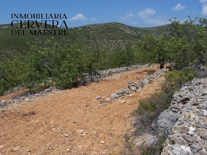 Foto 4339b0b8-f6a2-4e41-8cd4-6e146a079547. Landgut in Cervera del Maestre