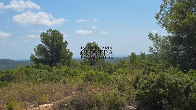 Foto c76ca8fc-ee96-486c-a5d7-f99e14573acc. Landgut in Cervera del Maestre