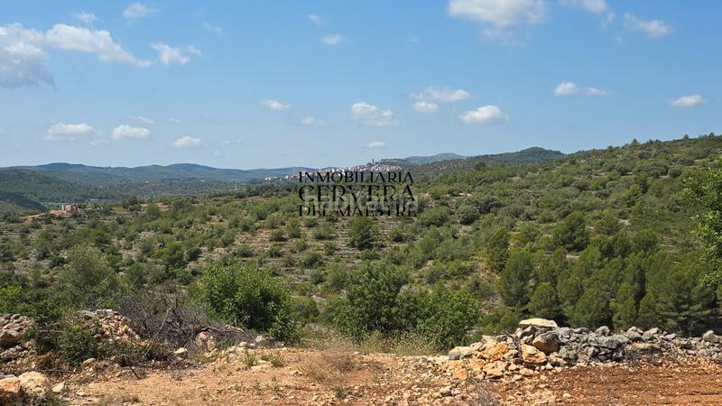 Foto ca70b313-b046-4a52-a47e-b52590c8b0cb. Landgut in Cervera del Maestre