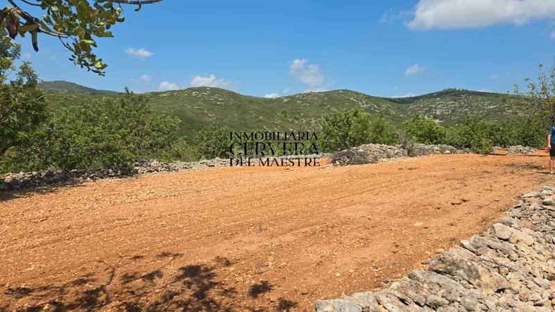 Foto deaa645a-524d-456d-b7c7-86057b2e8492. Landgut in Cervera del Maestre