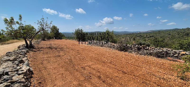 Foto e3f54a99-6aa2-49b1-8c5c-70343bb4f397. Landgut in Cervera del Maestre