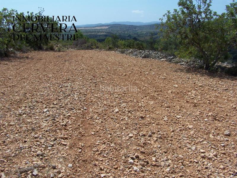 Foto f6ce646f-286d-4ea3-8d2c-491075e2f9d5. Landgut in Cervera del Maestre