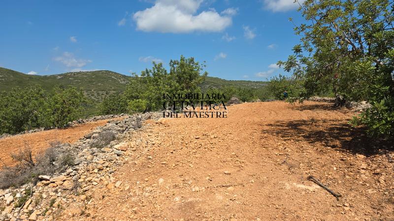 Foto 0e85e6cb-054d-4eda-b8b9-726112f64e0f. Finca rústica a Cervera del Maestre