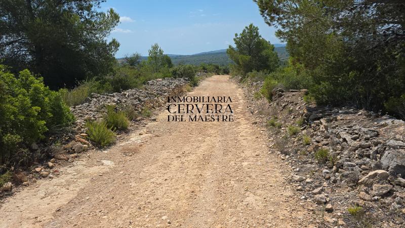 Foto 72661a17-b8c9-41fe-8d9c-5df087d03362. Finca rústica a Cervera del Maestre