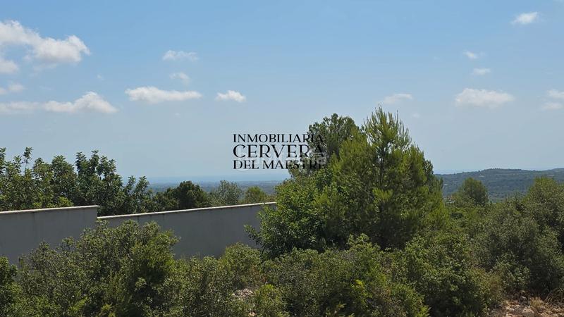 Foto 7a444cfd-578a-4f52-9af2-cf630baf4698. Finca rústica a Cervera del Maestre