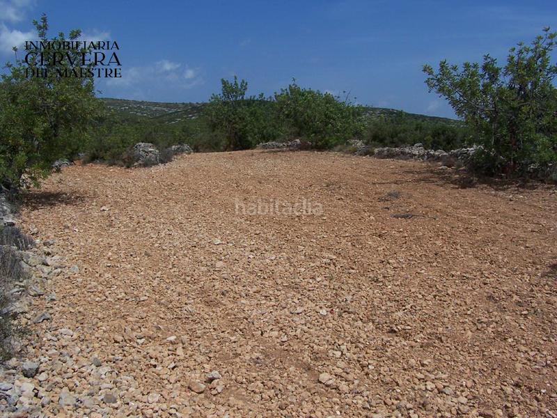 Foto 9c03cdee-1dc5-4770-a14e-2b107ad24282. Finca rústica a Cervera del Maestre