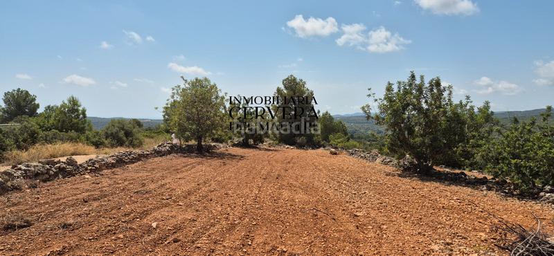 Foto 9ff3bdeb-7f9e-4c67-9a2d-1f98964f8789. Finca rústica a Cervera del Maestre