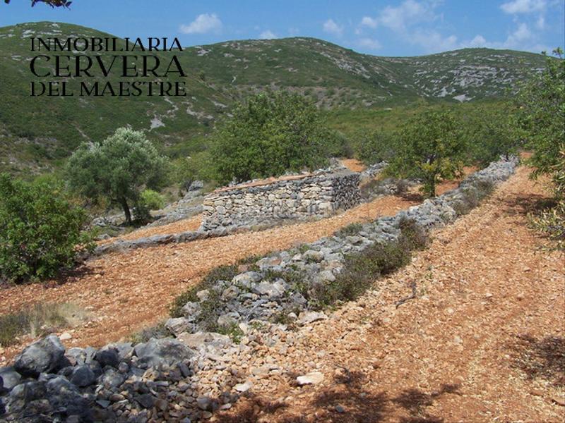Foto a84028ef-cf2f-4ba7-af41-0a3678dd6c98. Finca rústica a Cervera del Maestre
