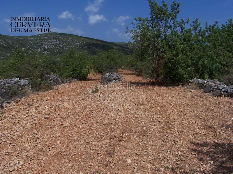 Foto c8c3947e-e56f-4743-99f1-0bcaa7489d79. Finca rústica a Cervera del Maestre