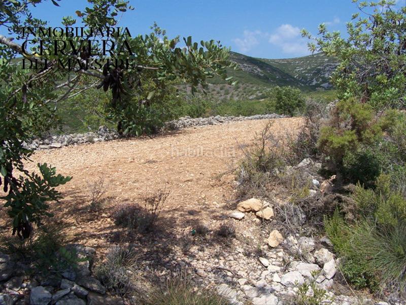 Foto ca8548d0-615e-49d4-8e29-8ff2d47a3c68. Finca rústica a Cervera del Maestre