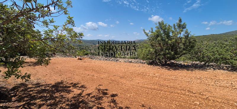 Foto d74f439d-a8b8-4d4f-b3c2-1f8608cd97d1. Finca rústica a Cervera del Maestre